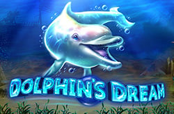 Dolphins Dream