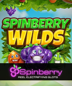  Spinberry