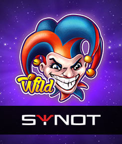  Synot