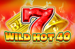 Wild Hot 40