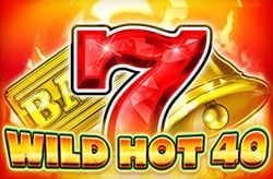 Wild Hot 40