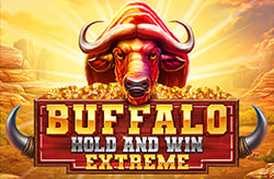 Buffalo Tutun ve Aşırı Kazanın